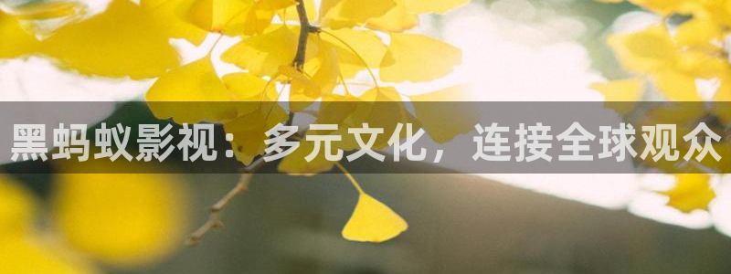 飘花影院理论片在线观看