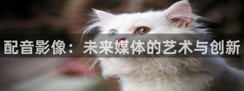 飘花理论电影院