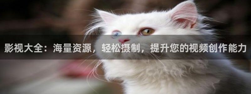 飘花影视网最新电影