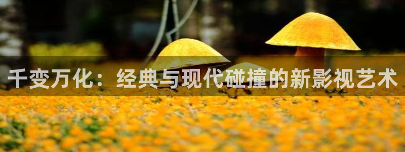 秋霞飘花电影网